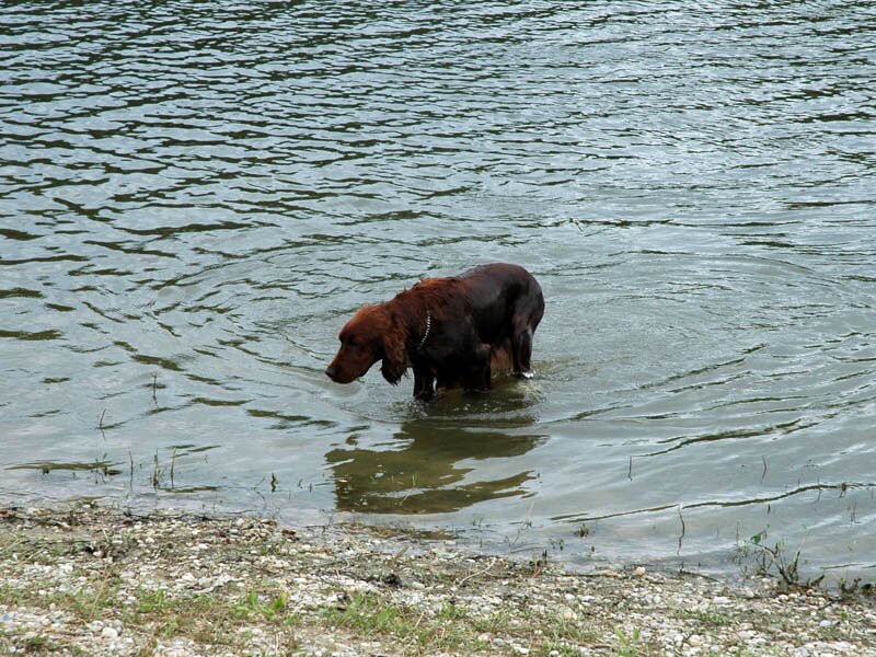 20080720_ssvp_22.jpg