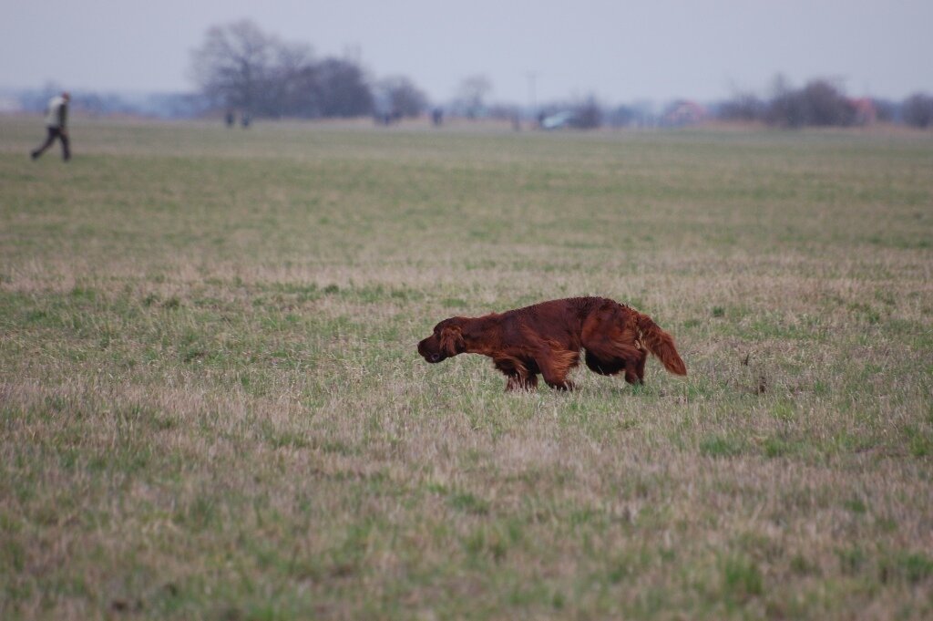 20090329_nft_057.jpg