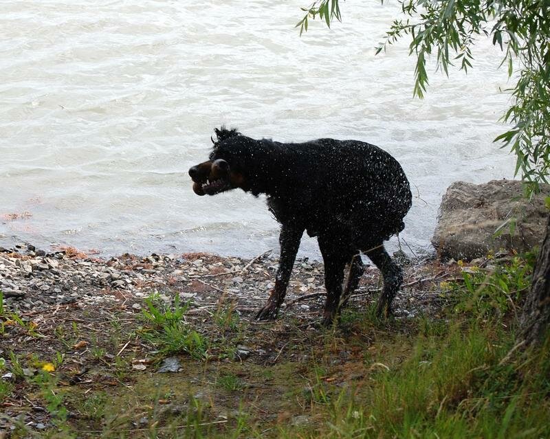 20090621_voda1budmerice_006.jpg