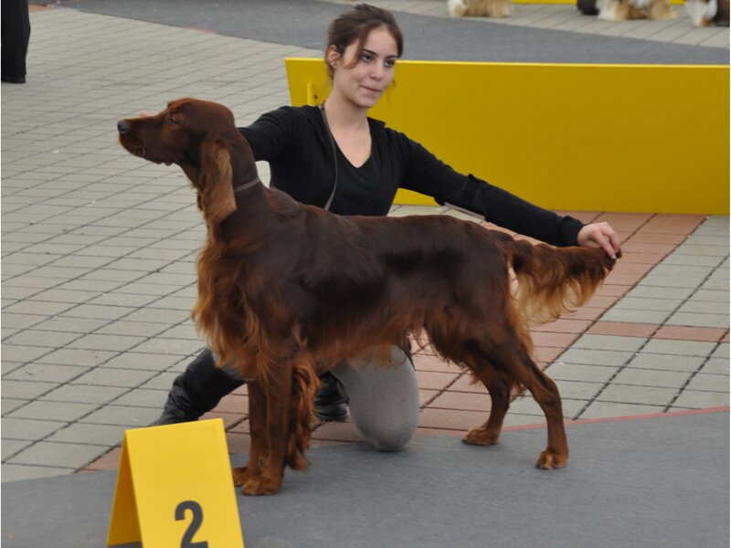 20091010_SKV_IS_004.jpg