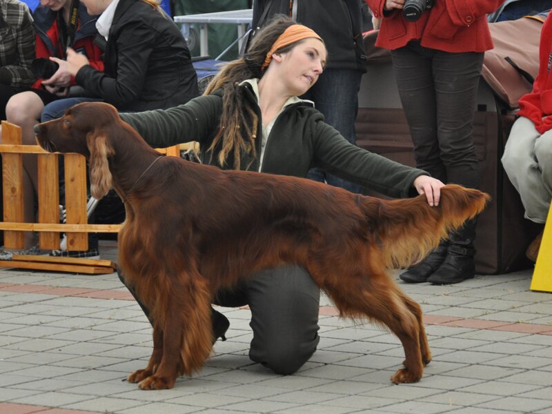 20091010_SKV_IS_038.jpg