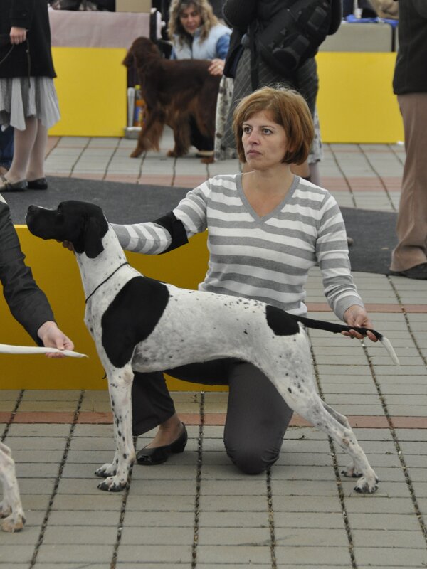 20091010_SKV_POI_26.jpg